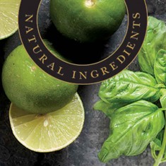 Lime & Basil - Ashleigh & Burwood Fragrance Oil For Fragrance Lamps